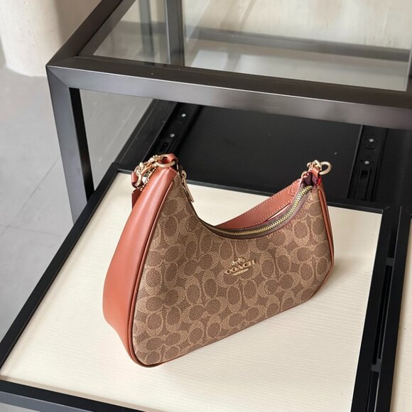 Premium Coach Brown Cherry Mini Bag - Picture 2 of 6